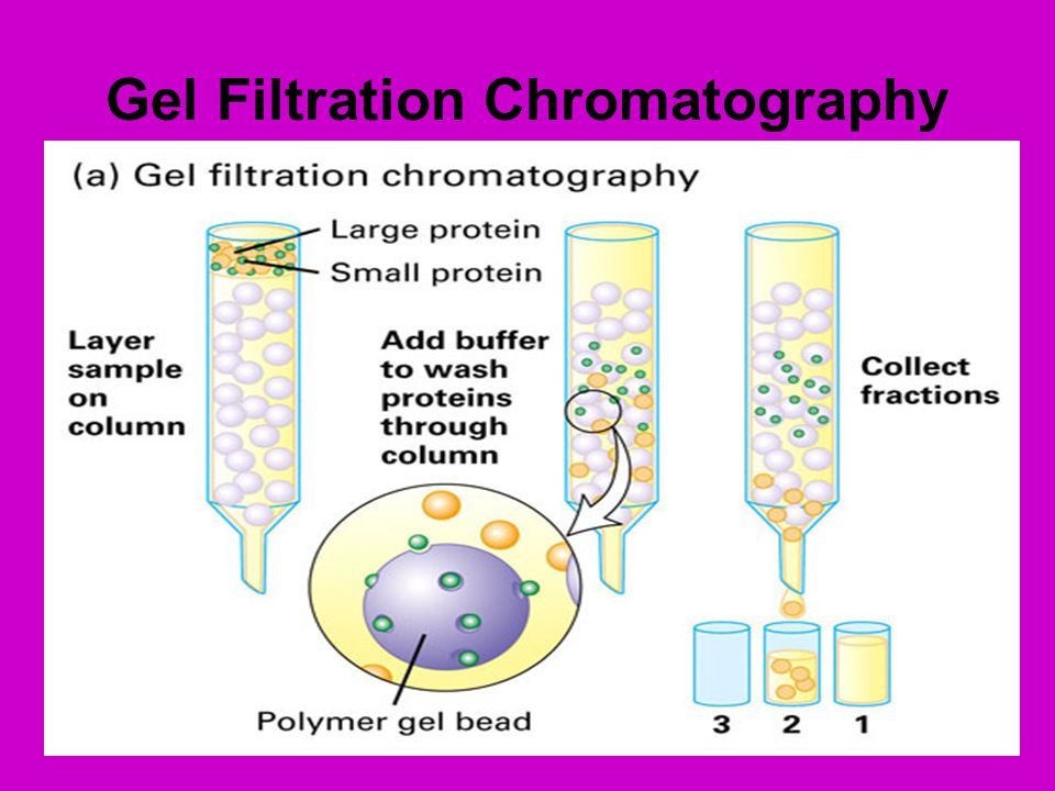 Size-exclusion chromatography